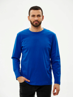 Футболка с длинными рукавами васильковая
