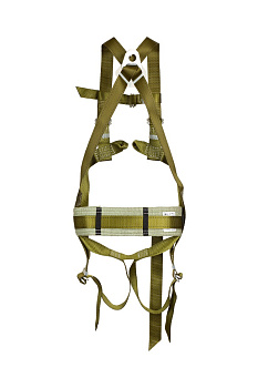 САП2Ж сзади