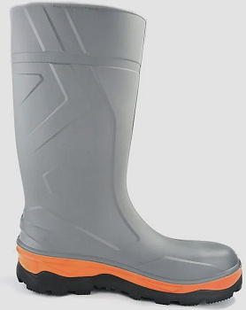 САП-ПАТНИТ-2