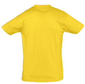 1376.80_12_psd_1000x1000