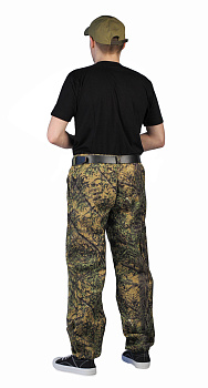 IMG_0356-2 IMG_0356-2