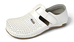 IMG_20221005_124046 copy1