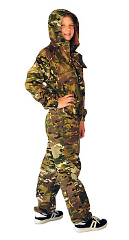 BAS_6981-2 BAS_6981-2