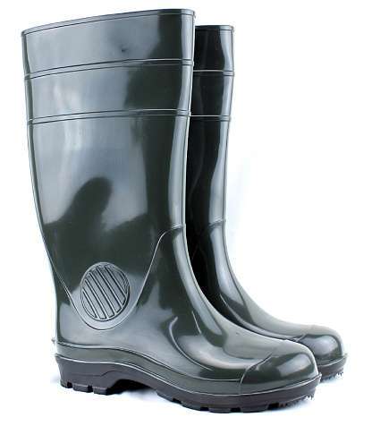 Сапоги ПВХ Д21 ОРЕЛ (ДАРИНА) мужские, оливковые - Урсус