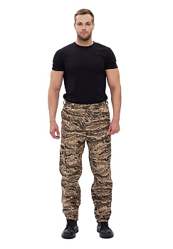 turist 1 _legion seryj-4