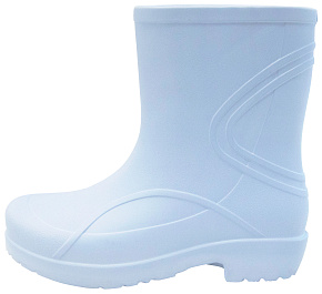 САП-ПС002ГОЛ-2