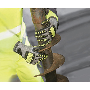 EOS NOCUT VV910 ambiance BB1A9990_1