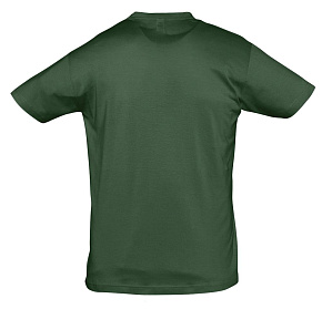 1376.90_6_tif_1000x1000